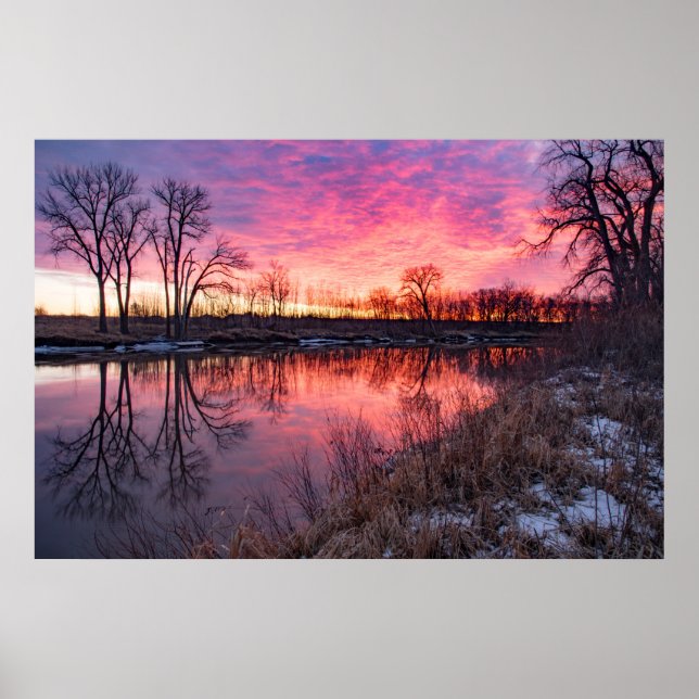 36x24-Wall-Poster Poster (Vorne)