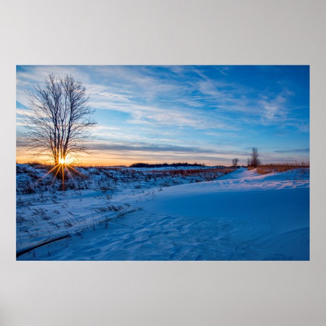 36x24-Wall-Poster Poster (Vorne)