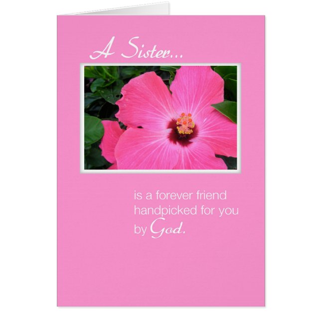 3829 Rosa Schwester (Vorne)