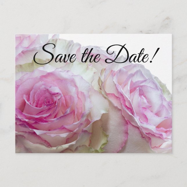 3998-Weiß und Rosa Rosen Einladungspostkarte (Vorderseite)