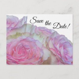 3998-Weiß und Rosa Rosen Postkarte