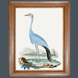 3 0f 6, Audubon-Gemälde aus dem 6. Jahrhundert Set Poster