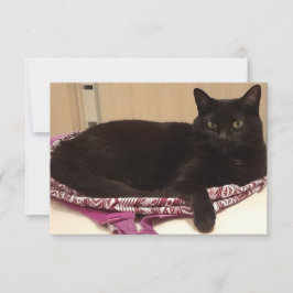 3,5 Zoll x 5 Zoll Flachbildschirm Karte