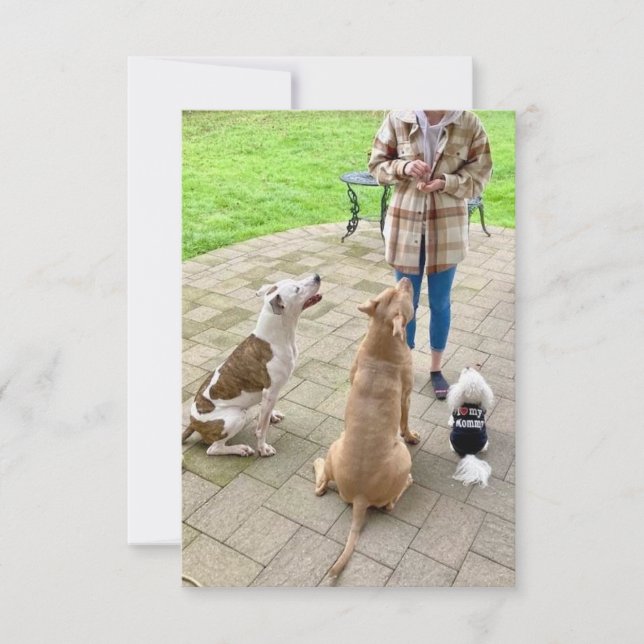 3,5 Zoll x 5 Zoll Flat Dankeschön Karte (Vorderseite)