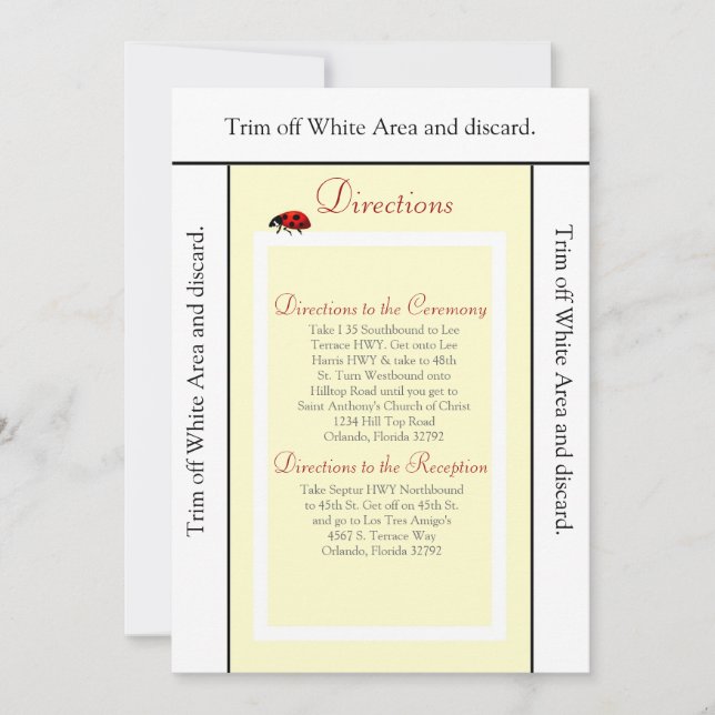 3.5x6 Fahrtrichtung Kartengelb und Lady Bug Einladung (Vorderseite)