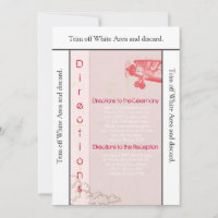 3.5x6 Vintages Flugzeug mit Flugkarte in Wolken