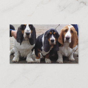 3 Basset-Hound-Welpen Visitenkarte