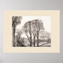 3 Bäume Cornwall Druck, Eleanor M Hughes Nachdruck