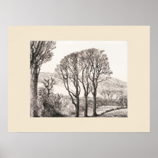 3 Bäume Cornwall Druck, Eleanor M Hughes Nachdruck Poster