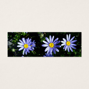 3 blaue Sonnen