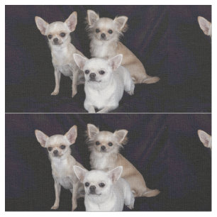 3 Chihuahua Stoff