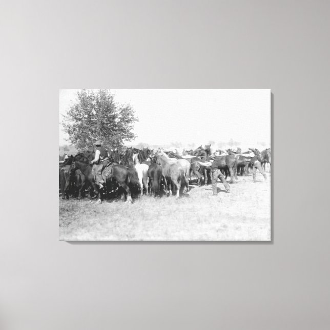 3 Cowboys Roping Pferde FotografieSouth Dakota Leinwanddruck (Vorderseite)