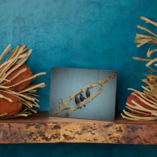 3 Crows Plaque Fotoplatte