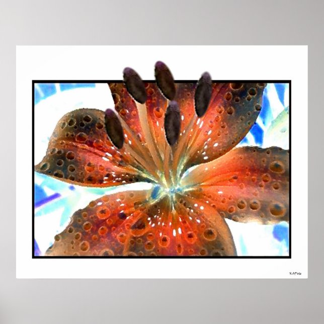 3-D Art Lilie Poster (Vorne)