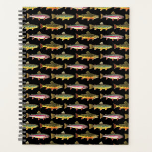 3 Forellen für Fische Planer