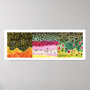 3 Forellenfelle: Brook, Regenbogen, Brown - Fliege Poster