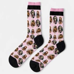 3 Foto Dachshund Crew Socken