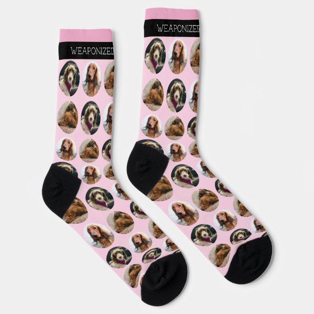 3 Foto Dackel Crew Socken (Rechts)