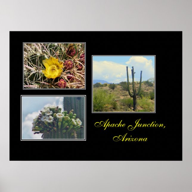 3 Fotos von Apache Junction, Az Druck Poster (Vorne)