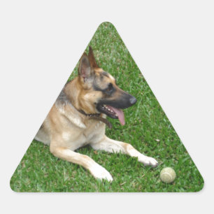 3 german-shepherd-lay.png dreieckiger aufkleber