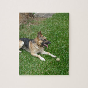 3 german-shepherd-lay.png puzzle