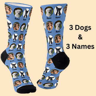 3 Hunde, 3 Namen, Hunde Foto - Personalisiert blau Socken
