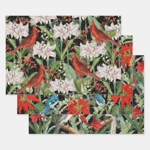 3 Kardinal Jay Winter Bird Collage Ephemera Sheets Geschenkpapier Set