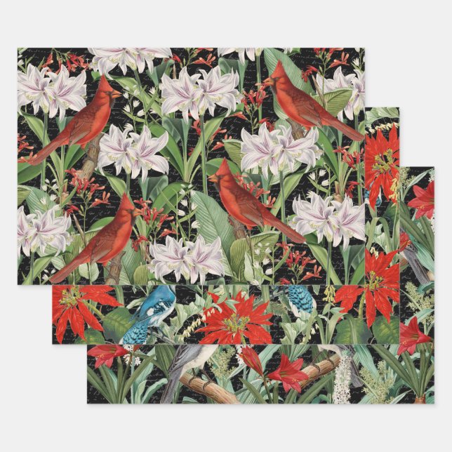 3 Kardinal Jay Winter Bird Collage Ephemera Sheets Geschenkpapier Set (Set)