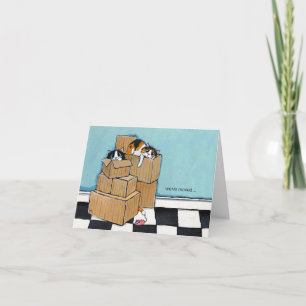 3 Katzen und Boxen   Wir haben die Note Card versc Ankündigung