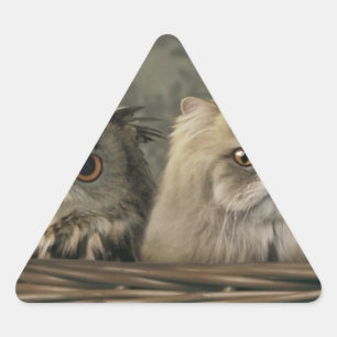 3 Katzen und eine Eule im Korb Dreieckiger Aufkleber