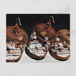 3 Kleine Vögel in China Postkarte