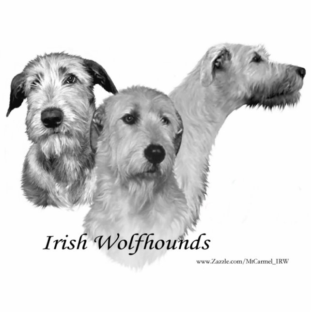 3 Köpfe des irischen Wolfhound Fotoskulptur Magnet (Vorne)