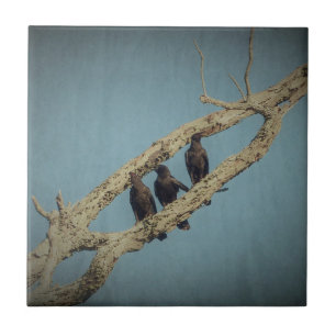 3 Krähen Fliese