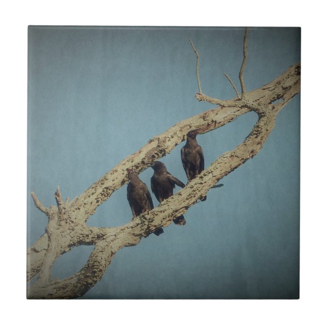 3 Krähen Fliese (Vorderseite)