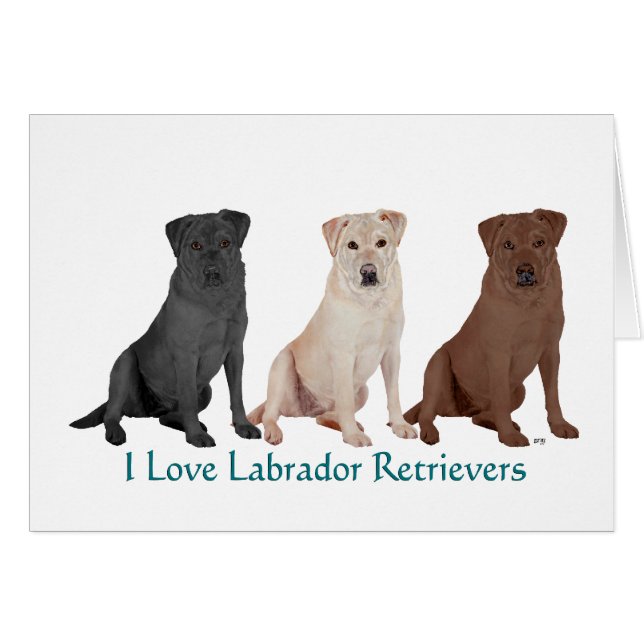 3 LABRADOR (Vorderseite (Horizontal))