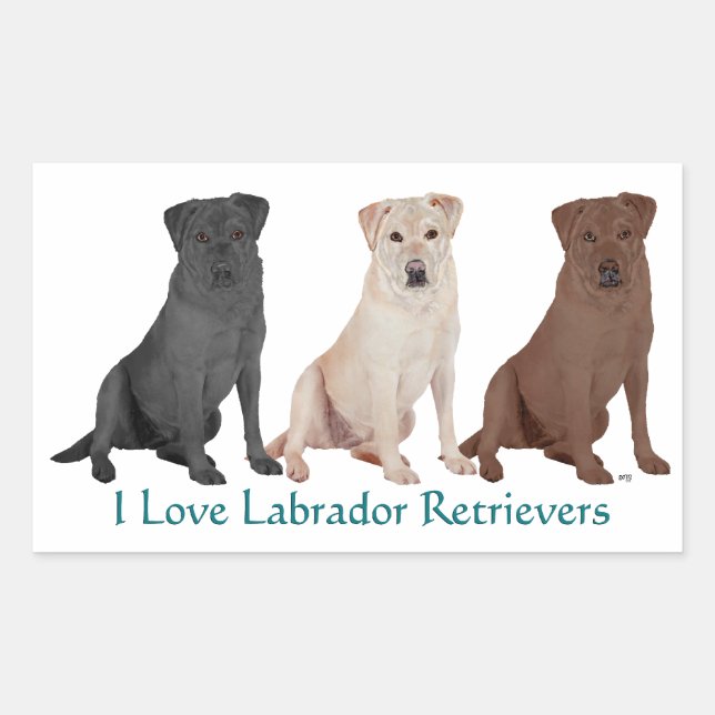 3 LABRADOR RECHTECKIGER AUFKLEBER (Vorderseite)