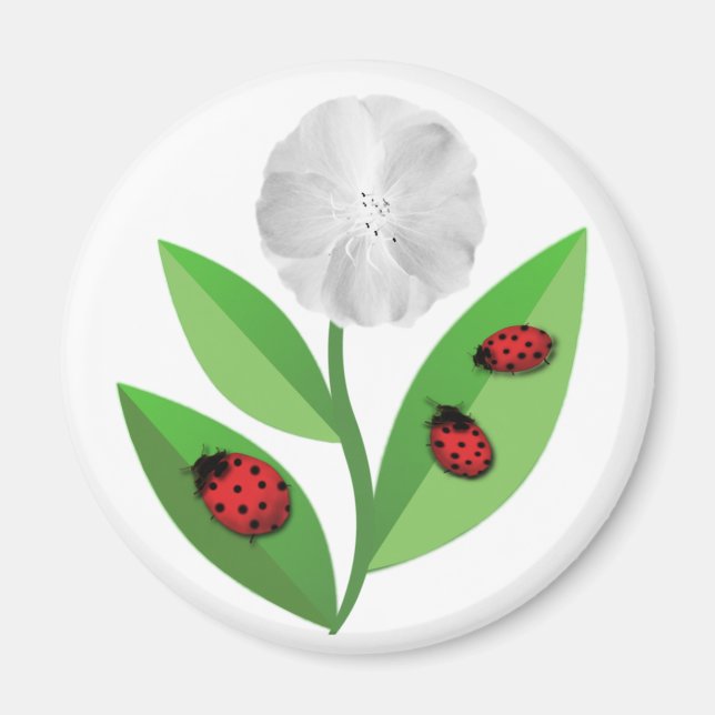 3 Ladybugs Magnet (Vorne)