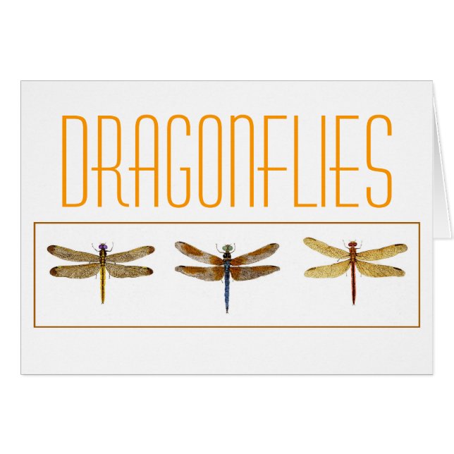 3 Libellen (Vorderseite (Horizontal))