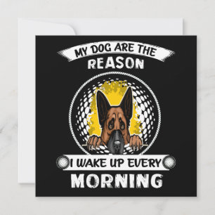 3 meiner Hunde sind der Grund, warum ich jeden Mor Einladung
