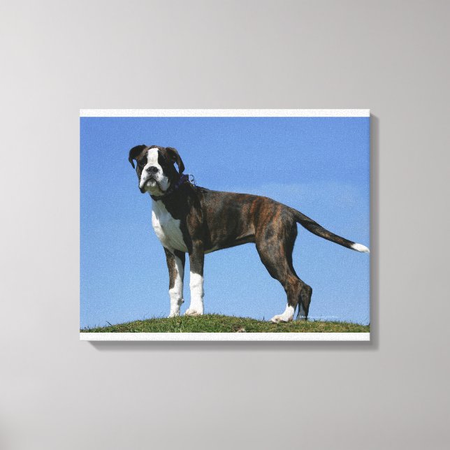 3 Monate alter Boxer Welpe Leinwanddruck (Vorderseite)