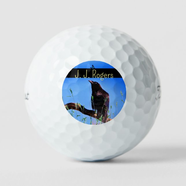 (3 Pack) Wildlife Raven Bird Personalisiert Golfball (Vorderseite)