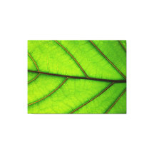 3 Panel-Canvas-Druck von Makro-Leaf