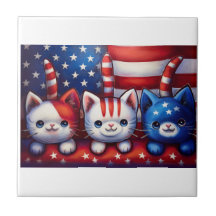 3 patriotische Kätzchen in einer Szene mit amerika