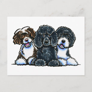 3 Portugiesische Wasserhunde Postkarte