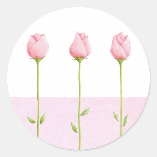 3 Rosa Rosenknospe Aufkleber