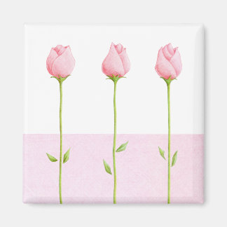 3 Rosa Rosenknospe Magnet