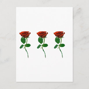 3 Rote Rosen - Rose personalisieren Postkarte