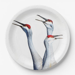 3 Sandhill Cranes Foto Paper Teller