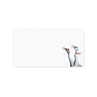 3 Sandhill Cranes Foto Stationery Address Labels Adressaufkleber