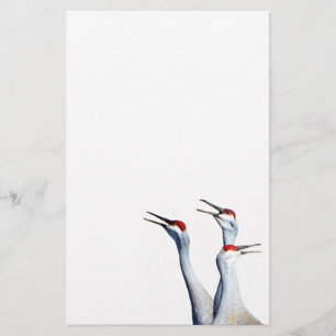 3 Sandhill Cranes Foto Stationery Paper Briefpapier